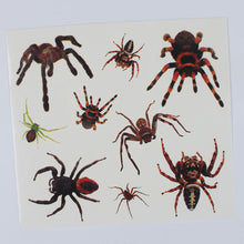 2016 2pcs Waterproof Temporary Tattoo Sticker Halloween Terror Wound Spiders Realistic Blood Injury Scar Fake Tattoo Stickers