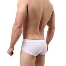 2016 High Quality Mens Cotton Panties Low-waisted Underwear Men Briefs Plus Size M-2XL Pouch Soft Underpants ropa interior