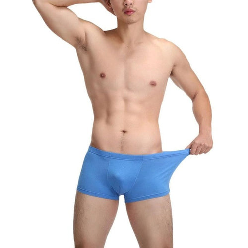 2016 Hot Sale Mens Panties Comfortable Madal Male Underwear Plus Size L-4XL Men's Boxers Sexy Underpants ropa interior hombre