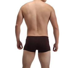 2016 Hot Sale Mens Panties Comfortable Madal Male Underwear Plus Size L-4XL Men's Boxers Sexy Underpants ropa interior hombre