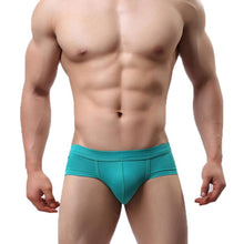 2016 Mens Underwear Low-waisted Cotton Mens Briefs Pouch Soft Underpants For Men Panties Male Sexy Shorts Calzoncillos