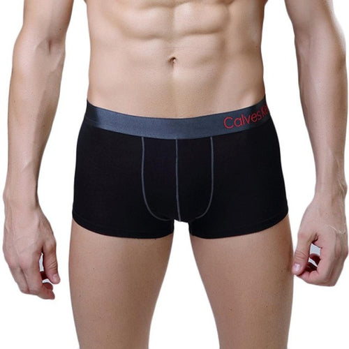 2016 New Arrival Male Panties Modal Bulge Pouch Desgin Sexy Soft Mens Underwear Underpants Male Sexy Boxer Hombre