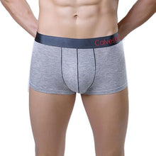 2016 New Arrival Male Panties Modal Bulge Pouch Desgin Sexy Soft Mens Underwear Underpants Male Sexy Boxer Hombre