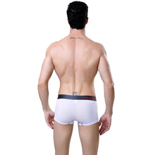 2016 New Arrival Male Panties Modal Bulge Pouch Desgin Sexy Soft Mens Underwear Underpants Male Sexy Boxer Hombre
