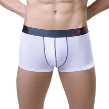 2016 New Arrival Male Panties Modal Bulge Pouch Desgin Sexy Soft Mens Underwear Underpants Male Sexy Boxer Hombre