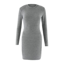 2016 New Arrival Women Bodycon Dress Autumn Winter Basic Mini Dress Grey Turtlneck Long Sleeve Sexy Lady Dresses Robe Femme