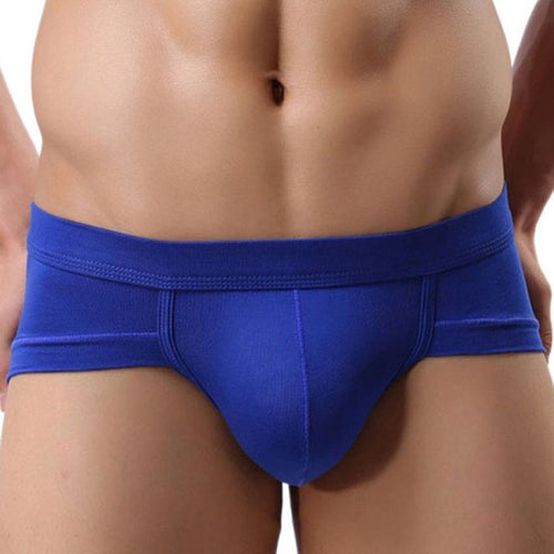 2016 New Fashion Underwear Men Nylon Spandex Sexy Underpants Men's Briefs Shorts Hombre Bulge Pouch Soft Panties Male
