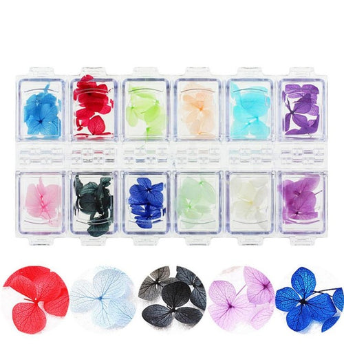 2016 Quality Guarantee Girl Women Nail Art Decoration Color Petal Dried Flower Nail Phototherapy Decoration Stick Anne