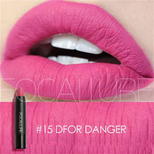 2017 19 Colors Pintalabios Matte Lipsticks Lips Beauty Makeup Cosmetics Waterproof Moisturizer Mate Lip Gloss Brillo de labios