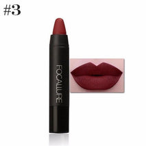 2017 19 Colors Pintalabios Matte Lipsticks Lips Beauty Makeup Cosmetics Waterproof Moisturizer Mate Lip Gloss Brillo de labios