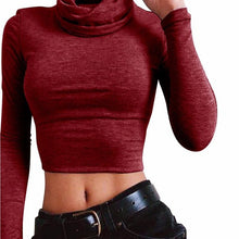 2017 Winter Spring Basic Tee Tops Women High Collar Short Style Long Sleeve Solid T-Shirt Female Fashion Women Clothing #1207