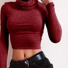 2017 Winter Spring Basic Tee Tops Women High Collar Short Style Long Sleeve Solid T-Shirt Female Fashion Women Clothing #1207
