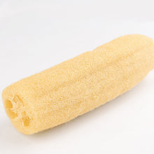 Natural Loofah Luffa Bath Shower Wash Body Pot Bowl Sponge Scrubber Spa
