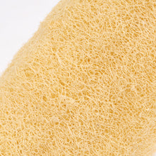 Natural Loofah Luffa Bath Shower Wash Body Pot Bowl Sponge Scrubber Spa