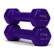 Slimming Women's Dumbbell Yoga Fitness Equipment Random Color Pink Purple