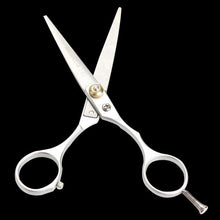 Stainless Steel Regular Hair Cutting Scissors Hairdressing Hair Salon Tool