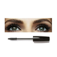 fresh For professional use or home use 40g Weight Focallure Mascara Slender Curl Waterproof Not Smudge Dense Lock Color Anne